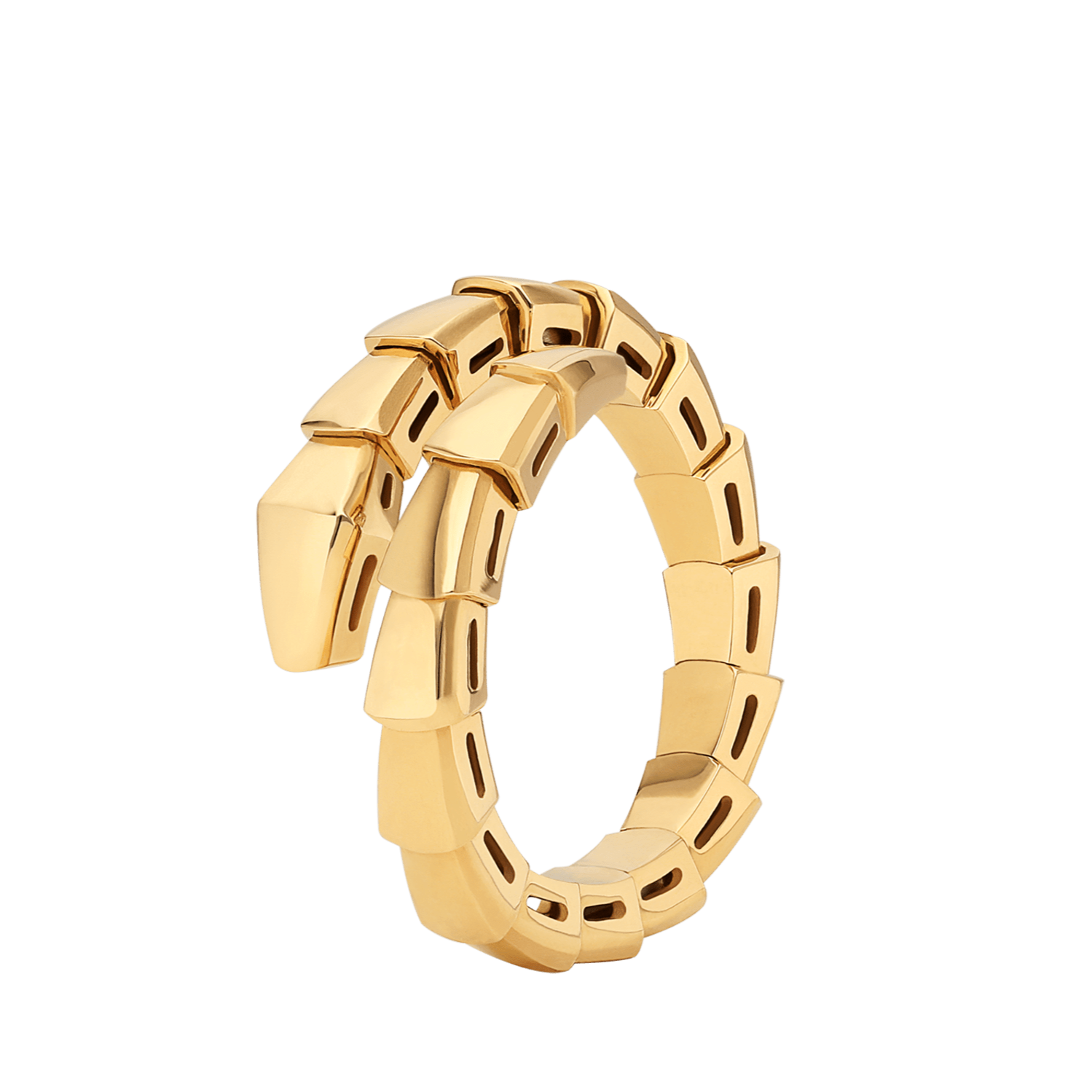 Serpent Wrap Ring | Dépaysement™