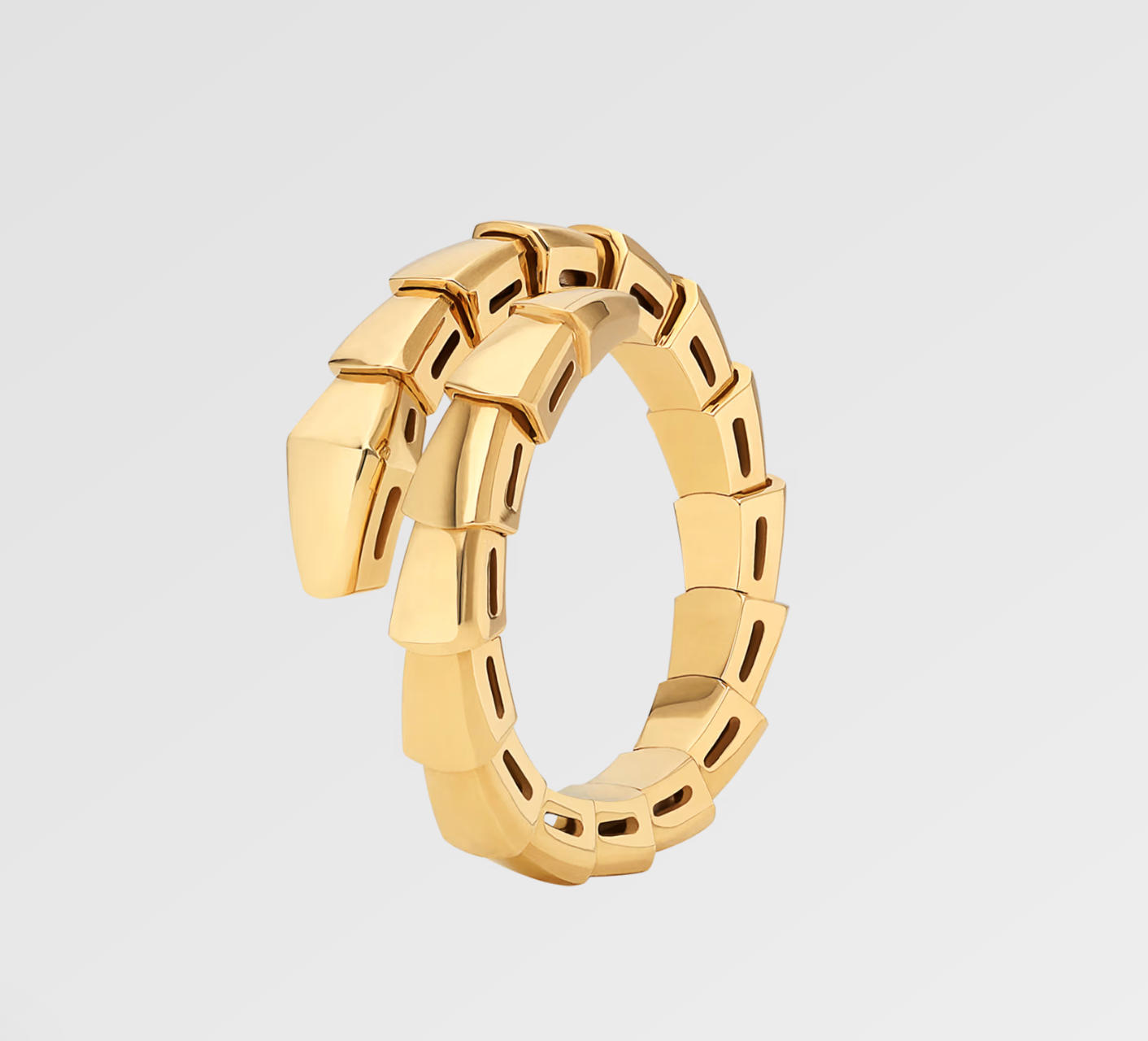 Serpent Wrap Ring | Depaysement™