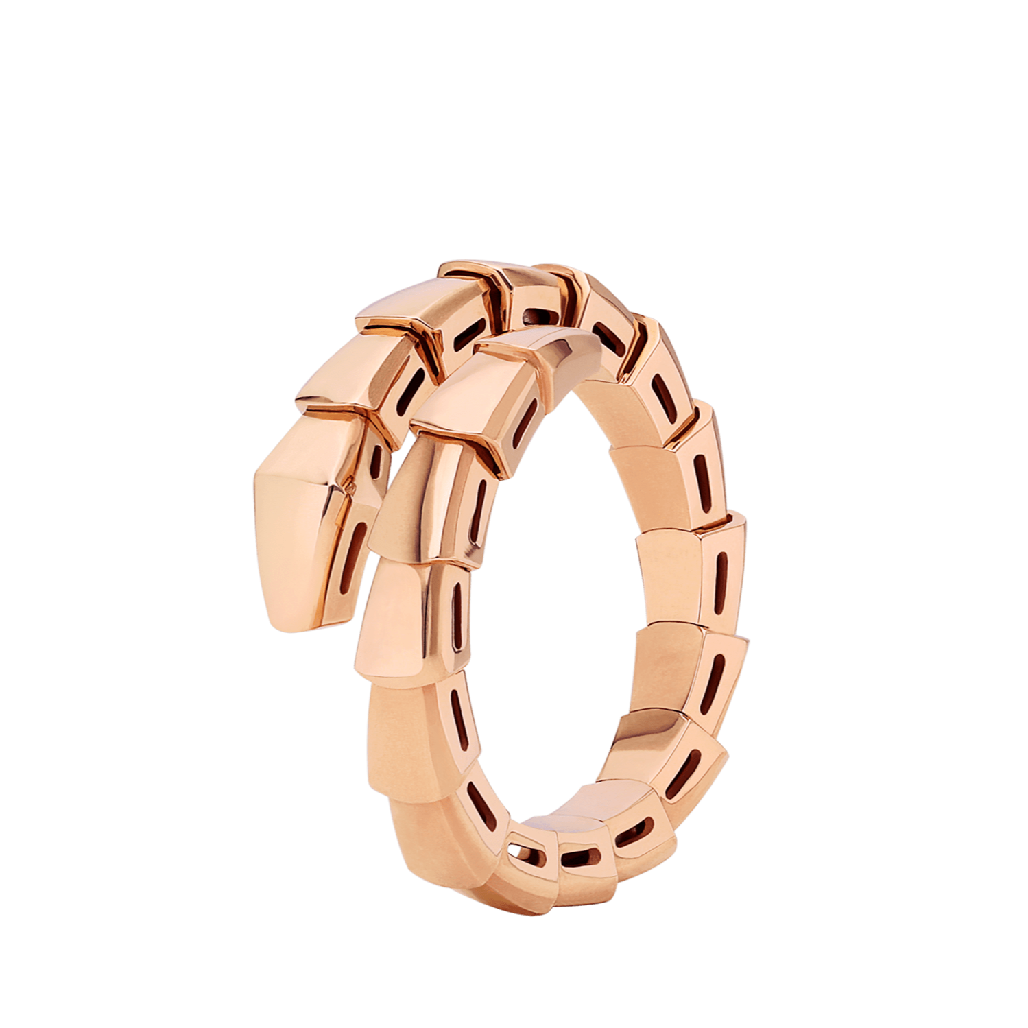 Serpent Wrap Ring | Dépaysement™