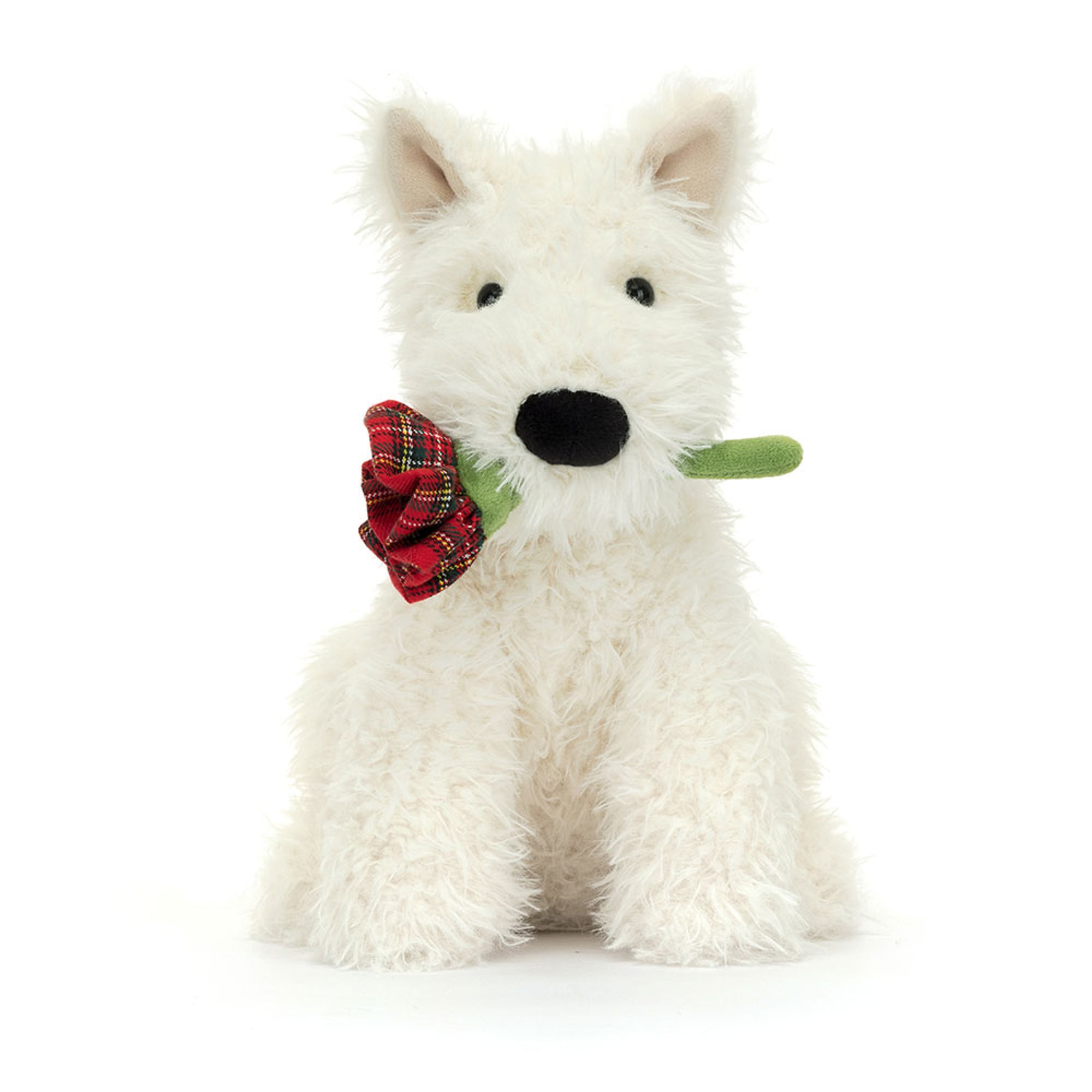 The Romantic Pup| Dépaysement™