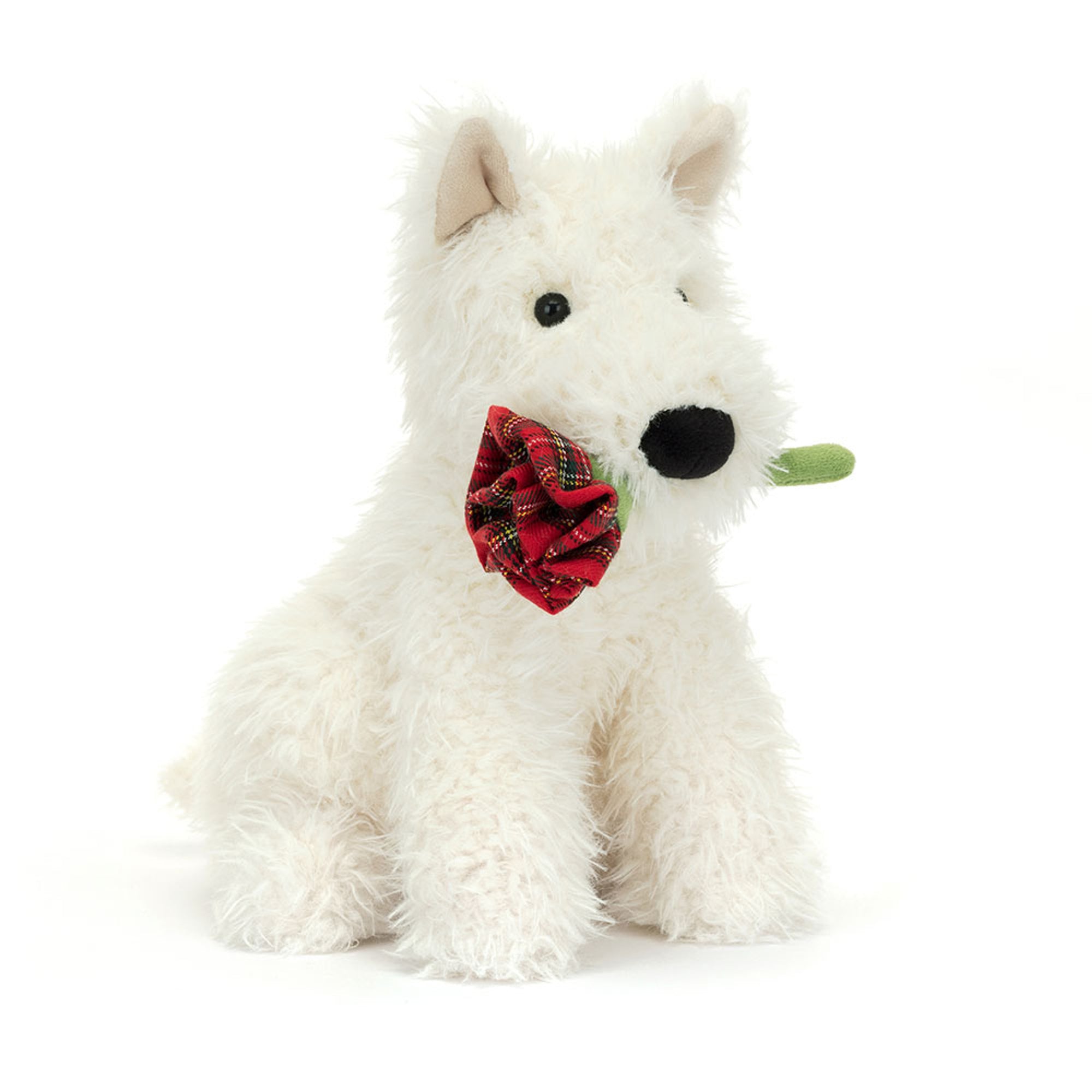 The Romantic Pup| Dépaysement™