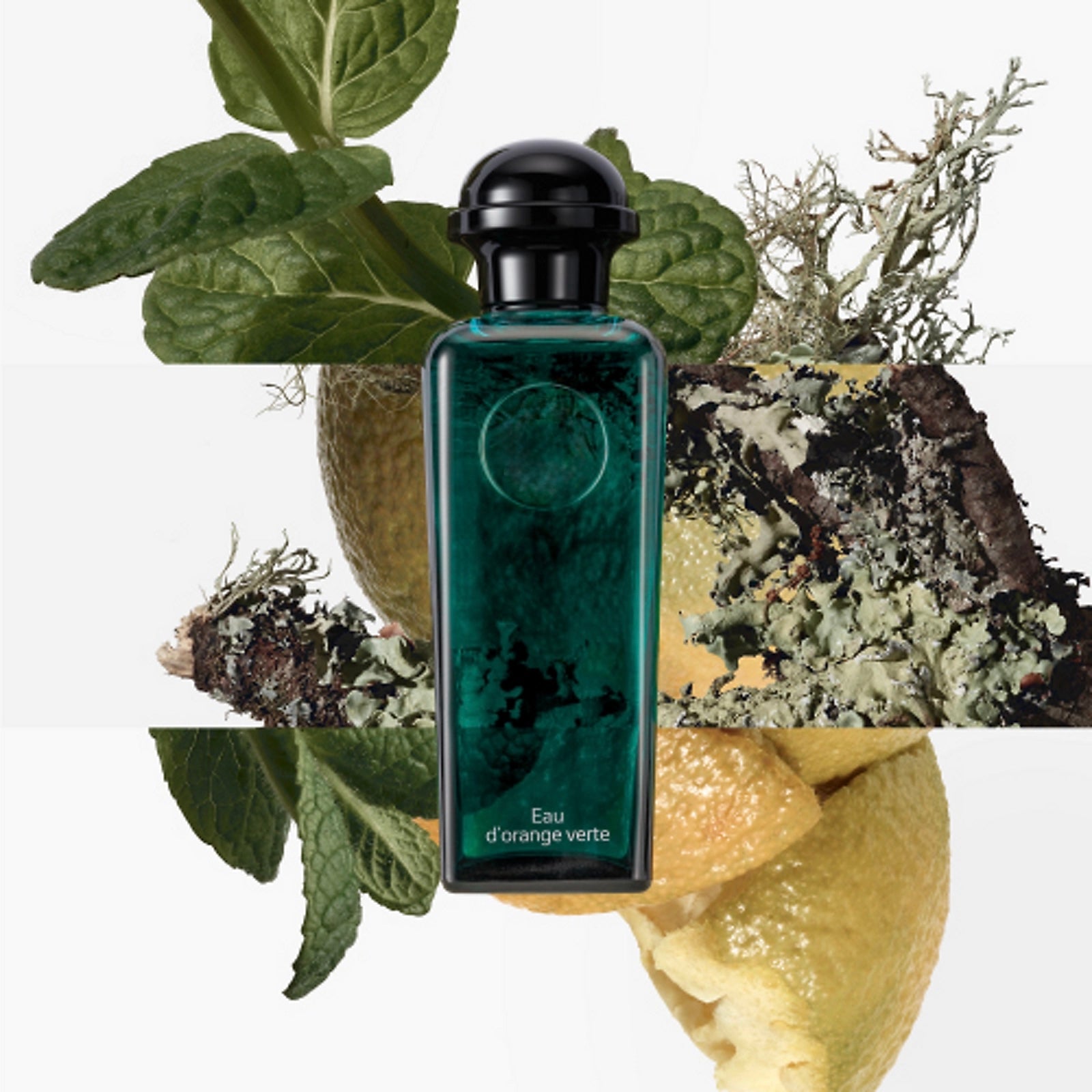 L’Essence de Dépaysement: Orange Verte